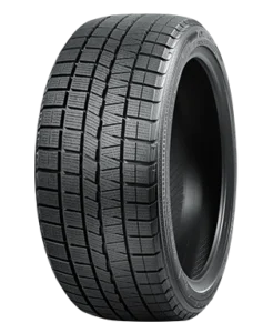 NANKANG ESSN1 305/30 R21 104H